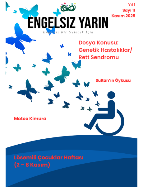 2025 Kasım