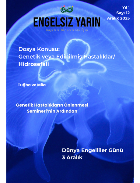 2025 Aralık